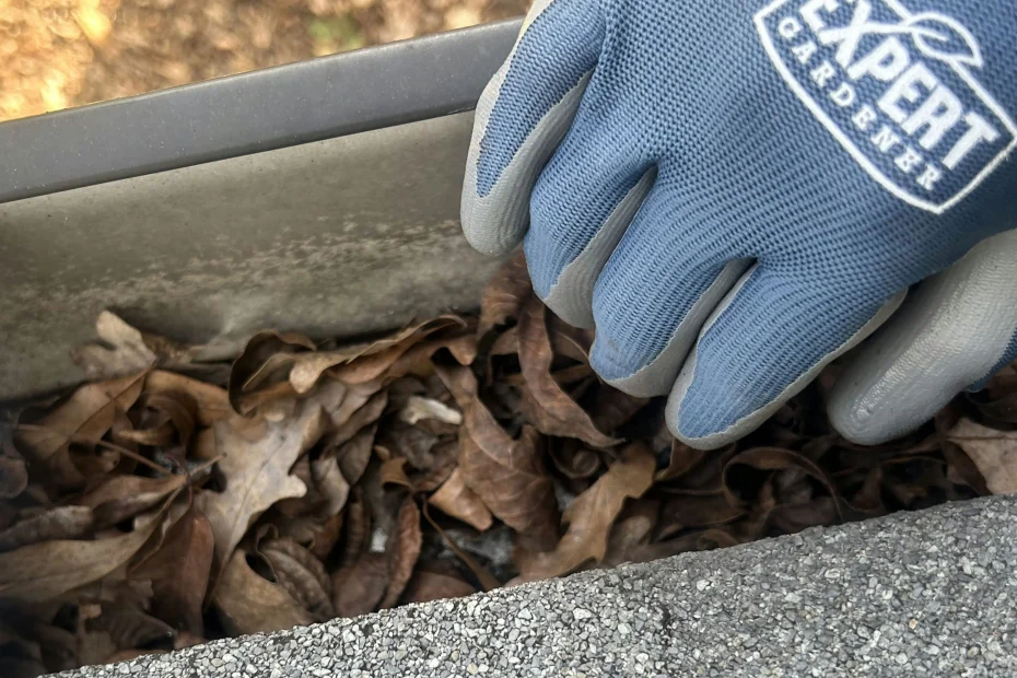 Gutter Cleaning Hopewell NJ