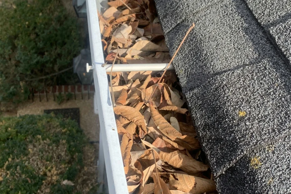 Gutter Cleaning Hopewell NJ