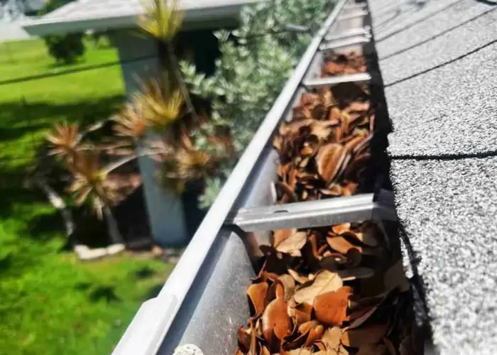 Gutter Cleaning Hopewell NJ home page